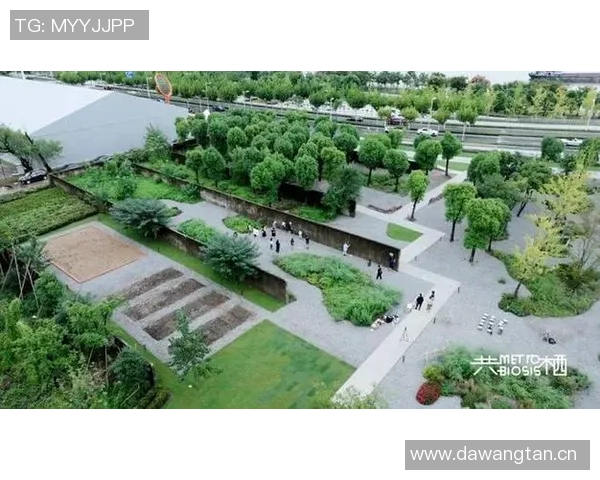 足球湿地的生态奇观与人类活动的和谐共生探索